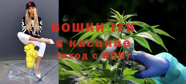 Альфа ПВП Гусиноозёрск