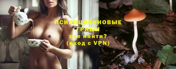 Альфа ПВП Гусиноозёрск