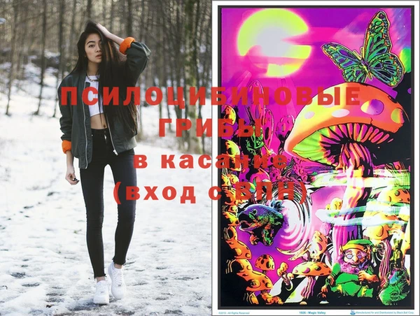 Альфа ПВП Гусиноозёрск